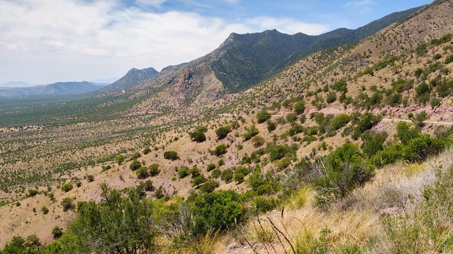 Coronado National Memorial