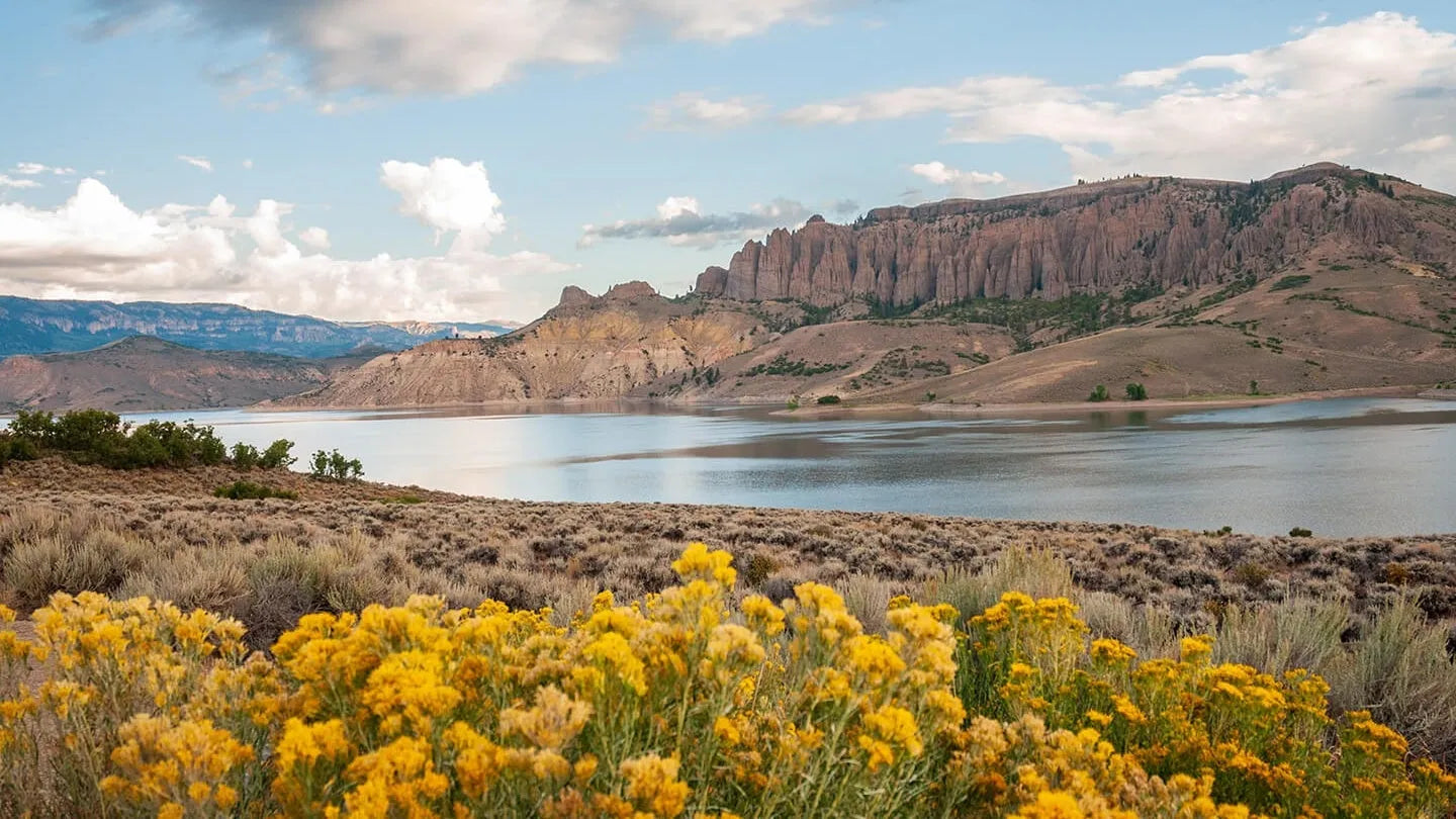 Curecanti National Recreation Area