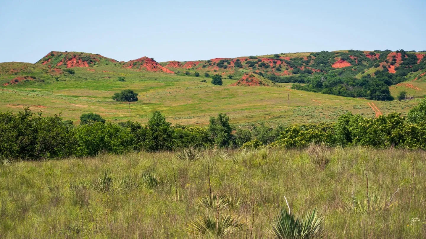Washita Battlefield National Historic Site