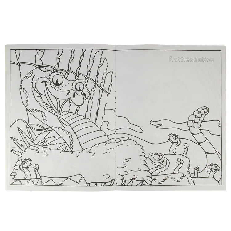 Wild Desert Coloring Book interior pages with line drawing of rattlesnake
