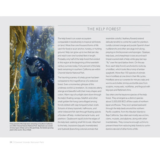 Page from a book or magazine featuring an underwater scene with a diver and text about the kelp forest.