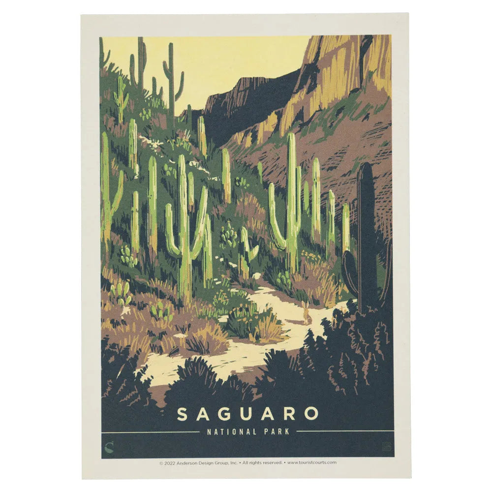 Saguaro National Park Postcard - ADG Desert Delight