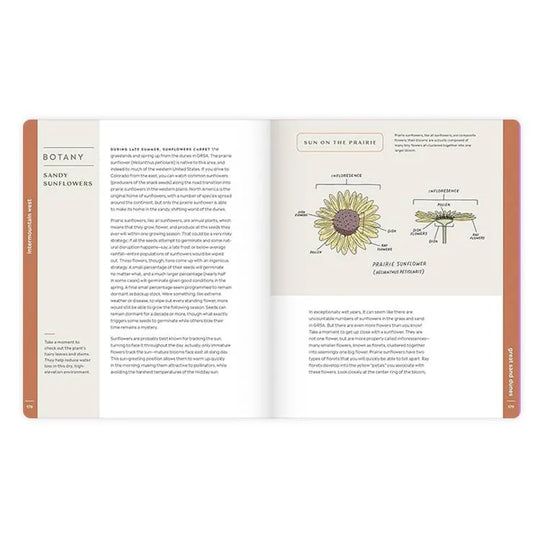 Scenic Science page on botany and sunflowers
