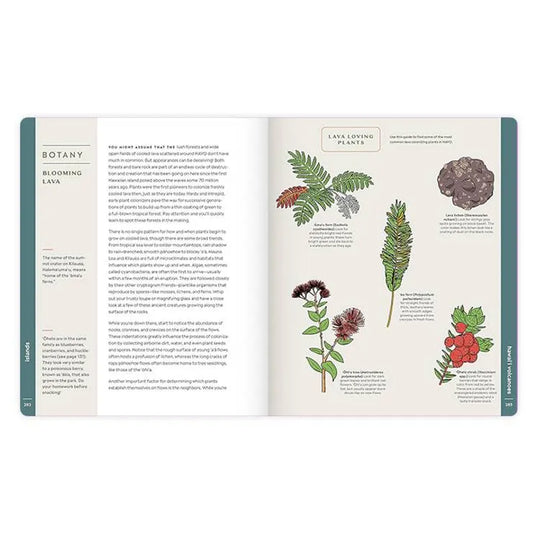 Scenic Science page on botany and flowers that bloom in volcanic areas