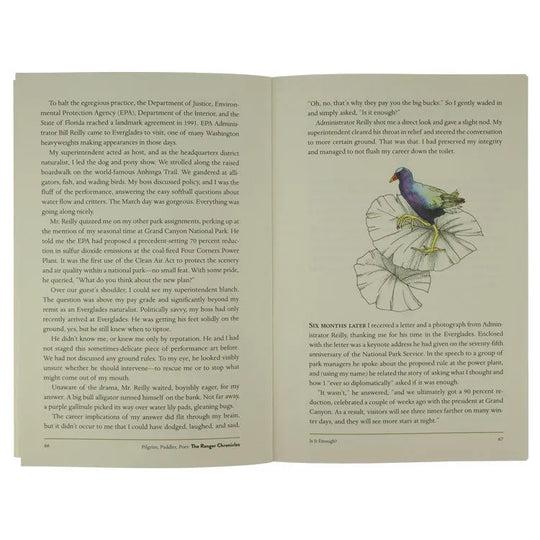 Pilgrim, Paddler, Poet: The Ranger Chronicles by Deb Ligget  interior pages 66 and 67