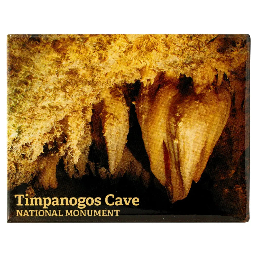 Magnet featuring stalactites in a cave with 'Timpanogos Cave National Monument' text