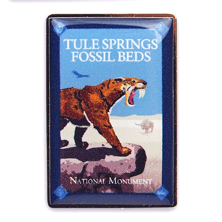Tule Springs Fossil Beds National Monument Pin - Rectangular Logo