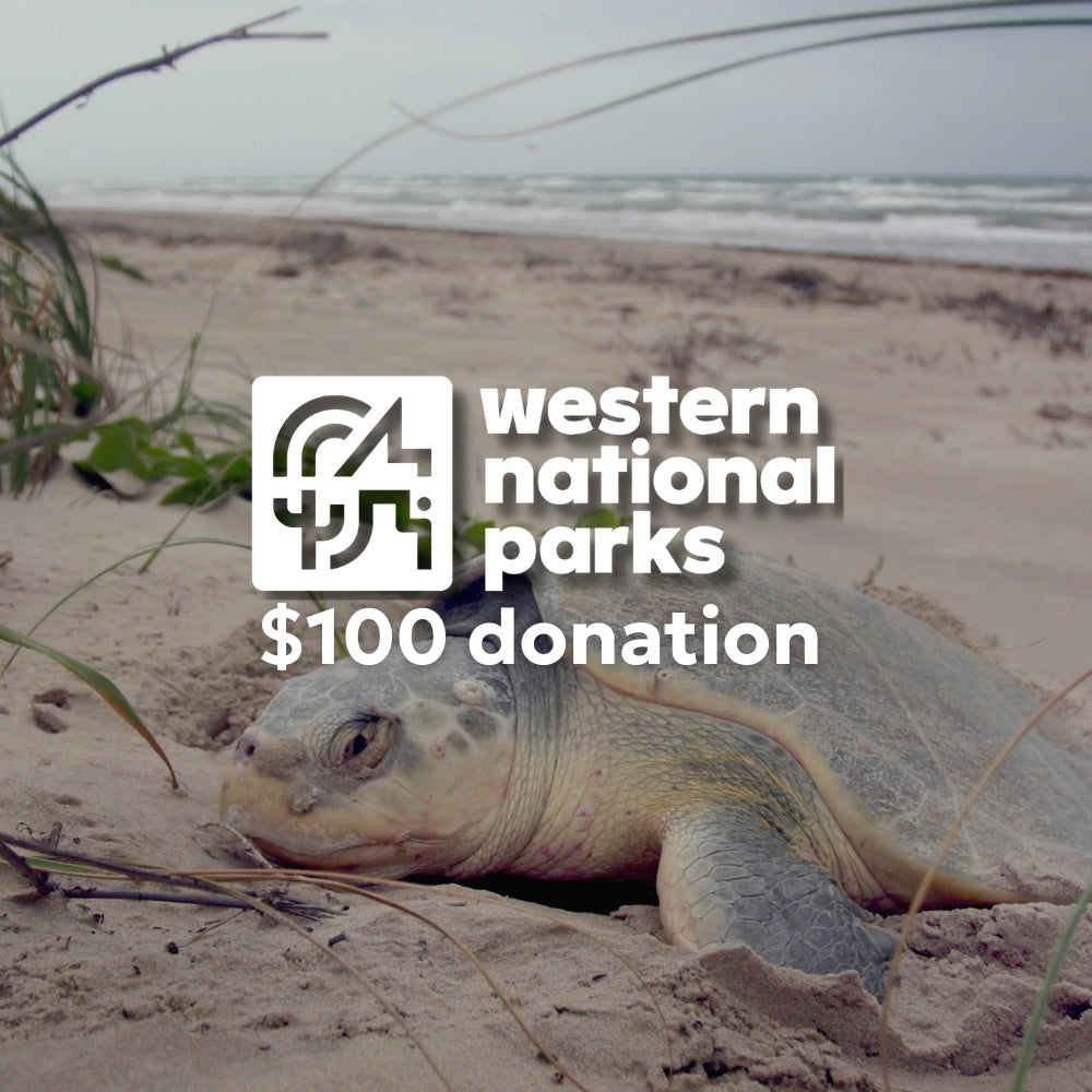 Donation of $100