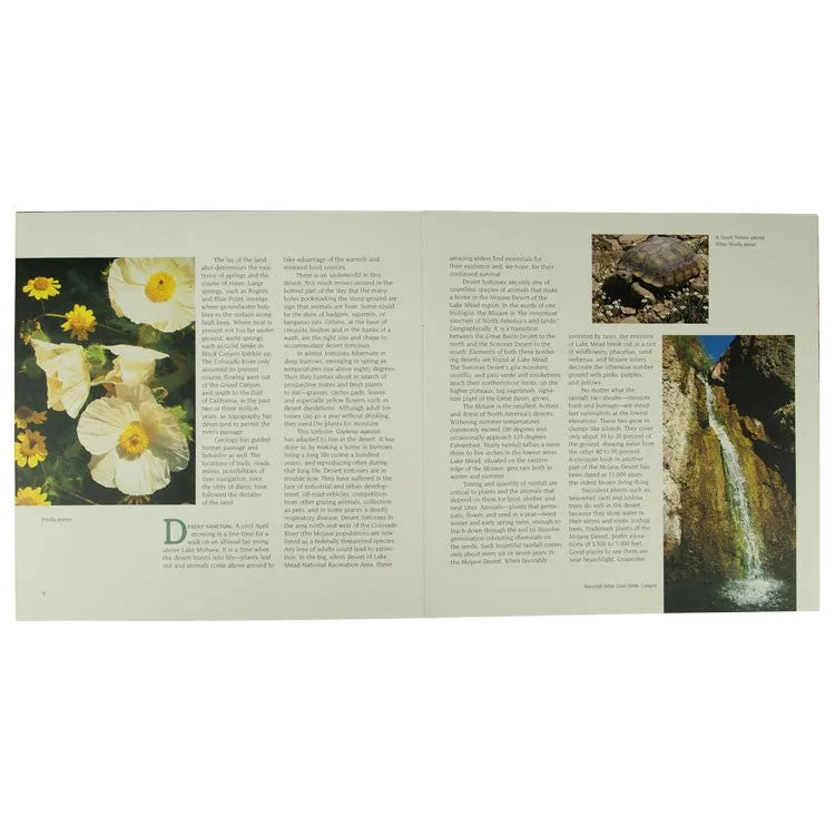 Lake Mead National Recreation Area Book Interior Pages