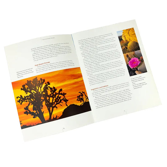 Mojave National Preserve Book Interior Pages 2