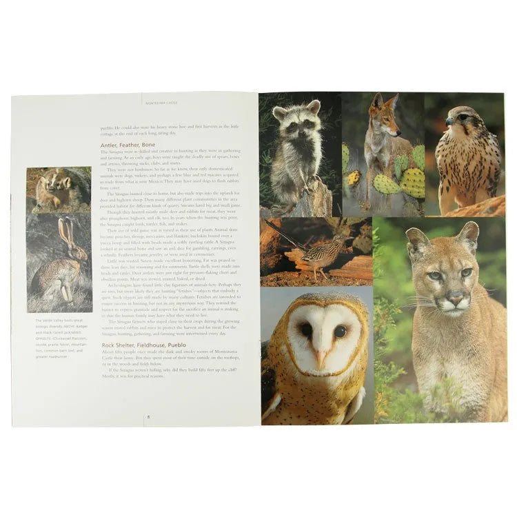 Montezuma Castle National Monument Book Interior Pages