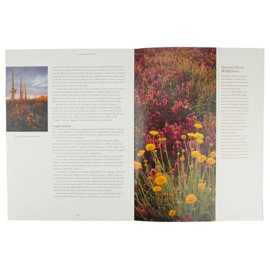 Saguaro National Park Book Interior Pages