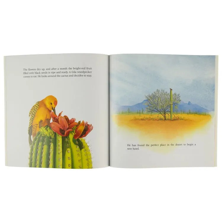 Interior pages from Cactus Hotel by Brenda Z. Guiberson and illustrated by Megan Lloyd