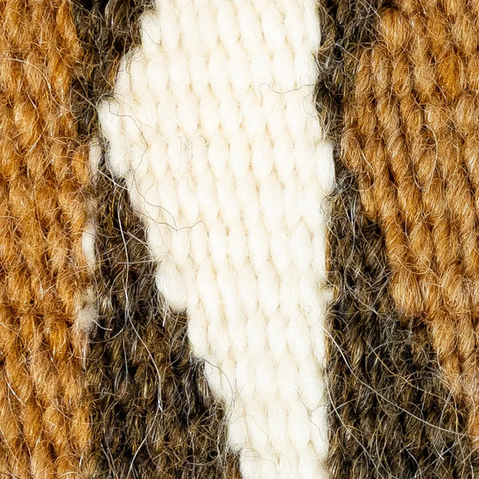 Close-up of brown, beige, and white yarn strands.