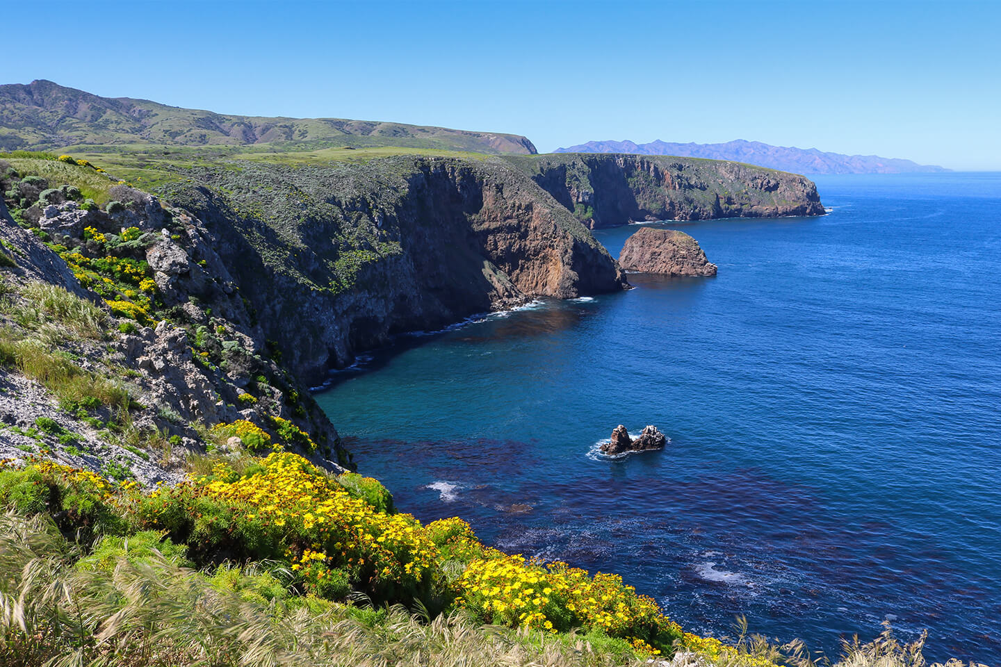 Channel Islands National Park