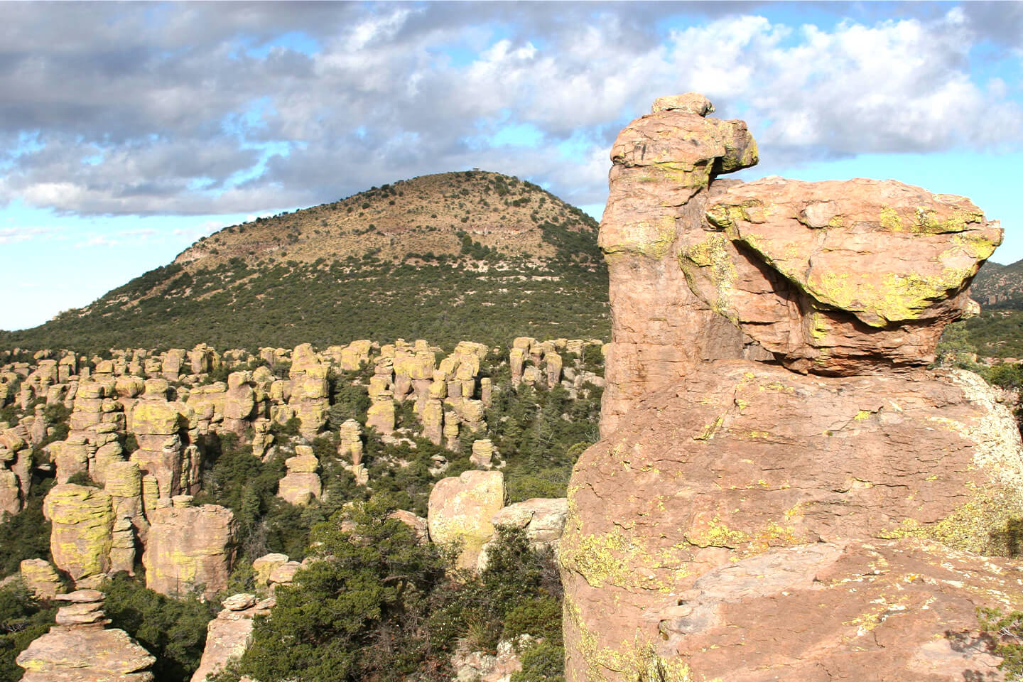 Chiricahua National Monument