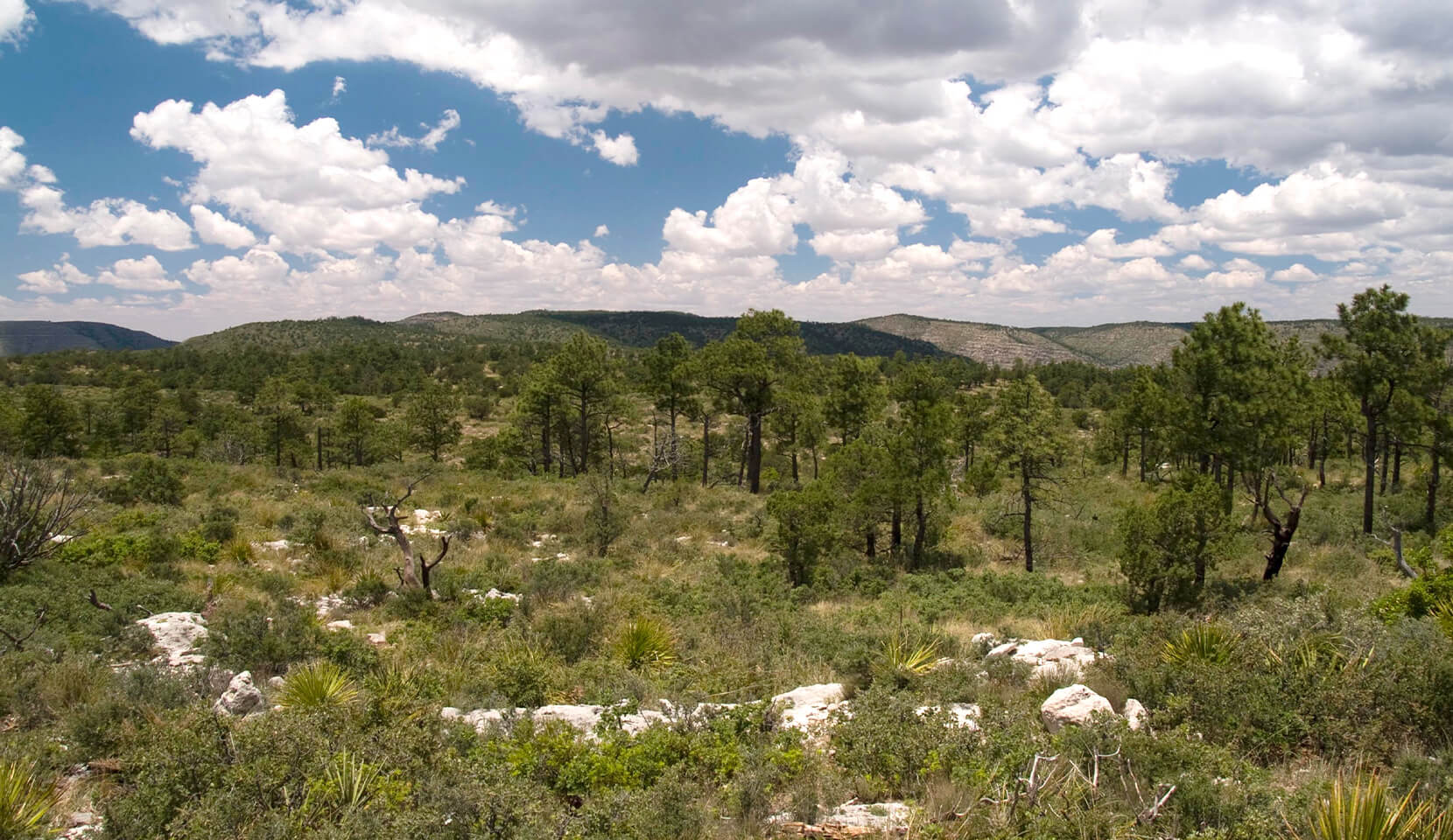 Guadalupe Mountains National Park