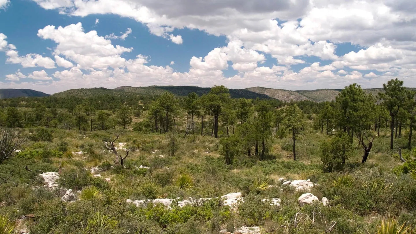 Guadalupe Mountains National Park