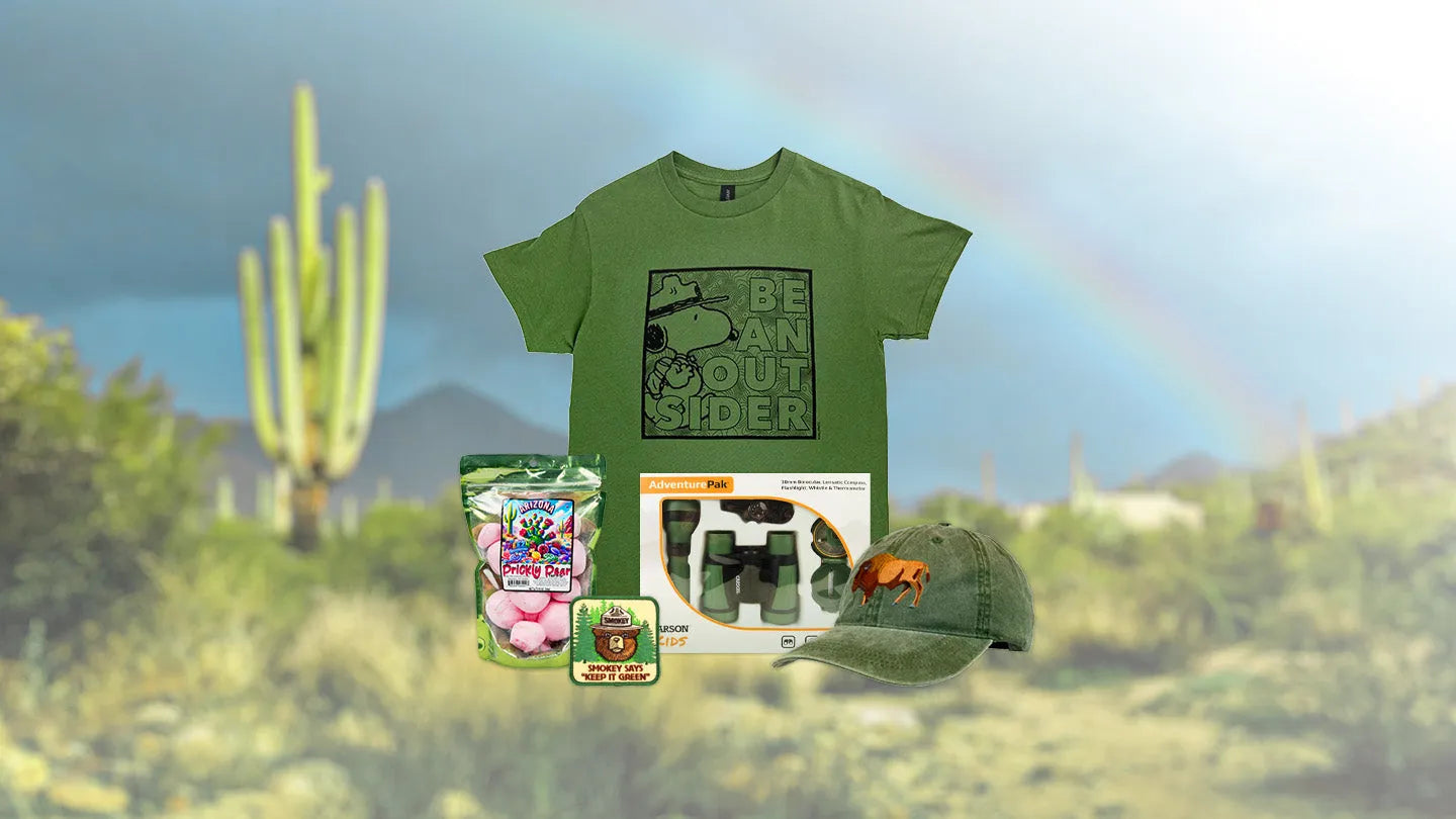 Lucky Finds: A Curated Green Collection