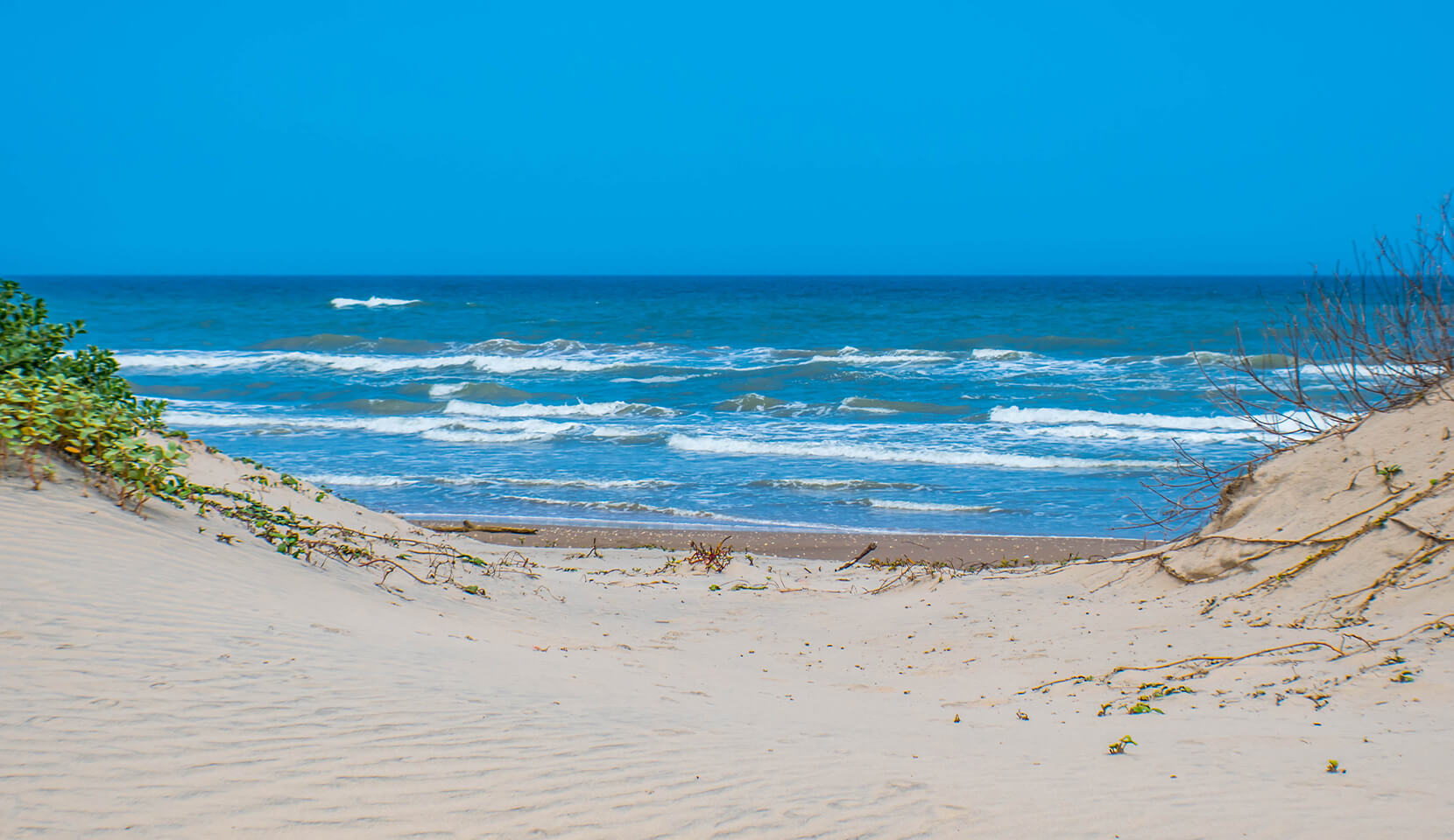 Padre Island National Seashore