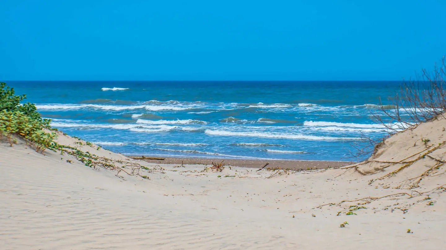 Padre Island National Seashore