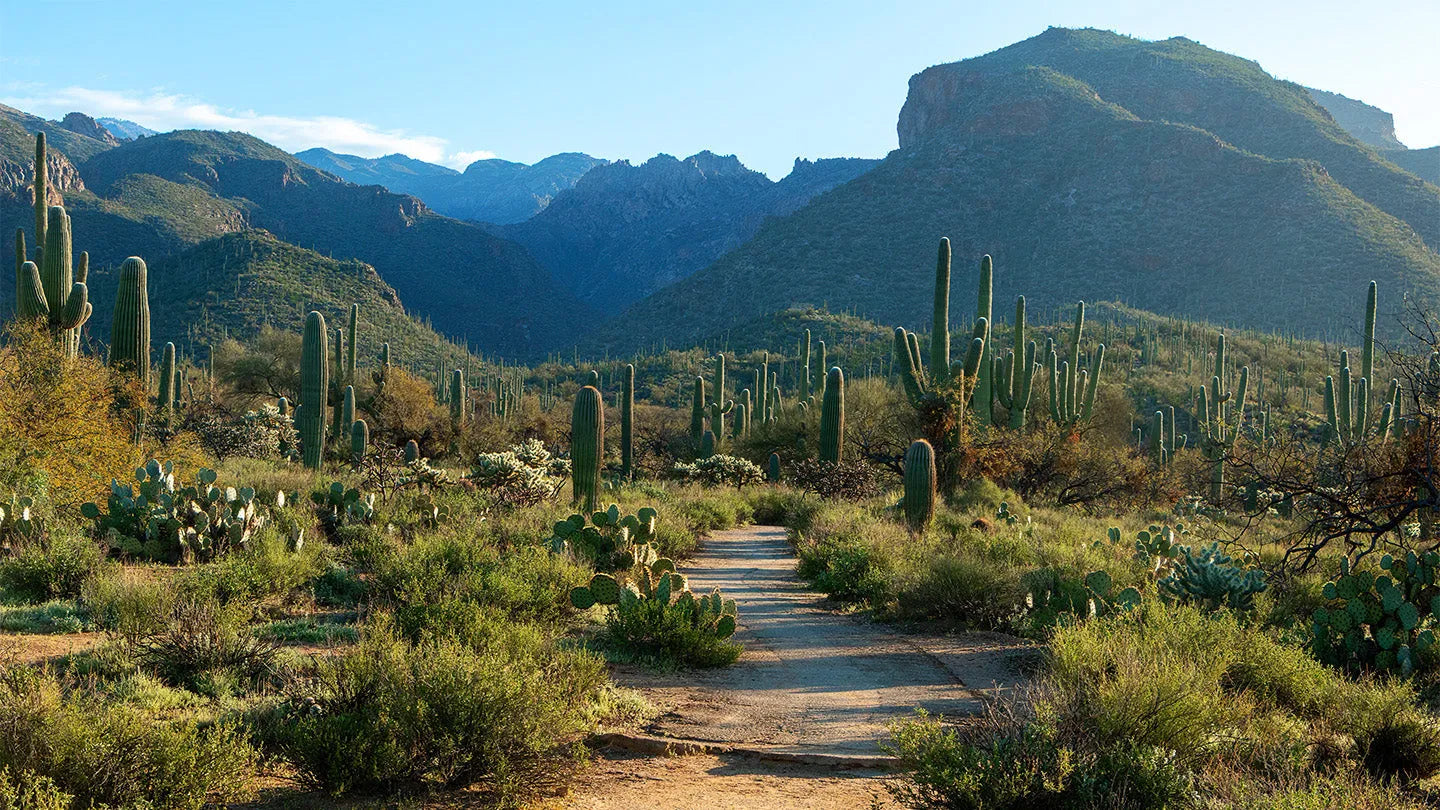 Sabino Canyon Recreation Area
