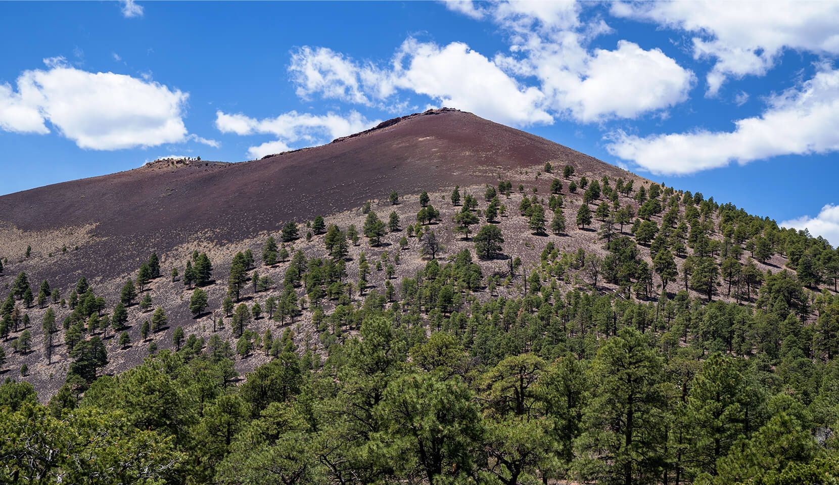 Sunset Crater Volcano National Monument