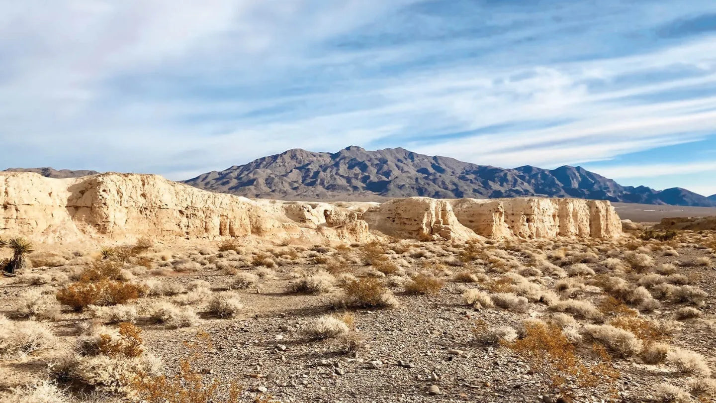 Tule Springs Fossil Beds National Monument