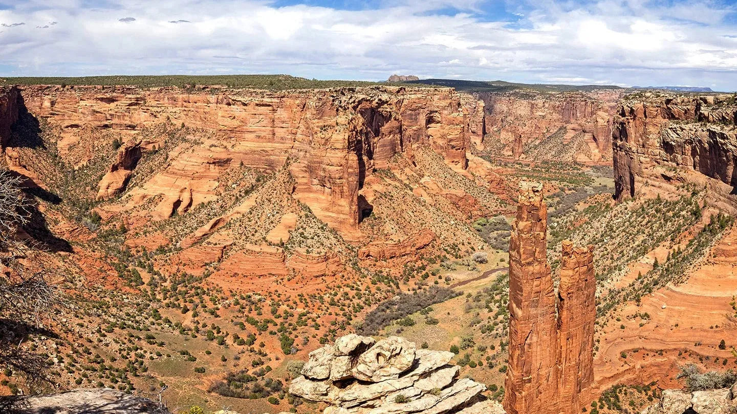 Protect our National Parks
