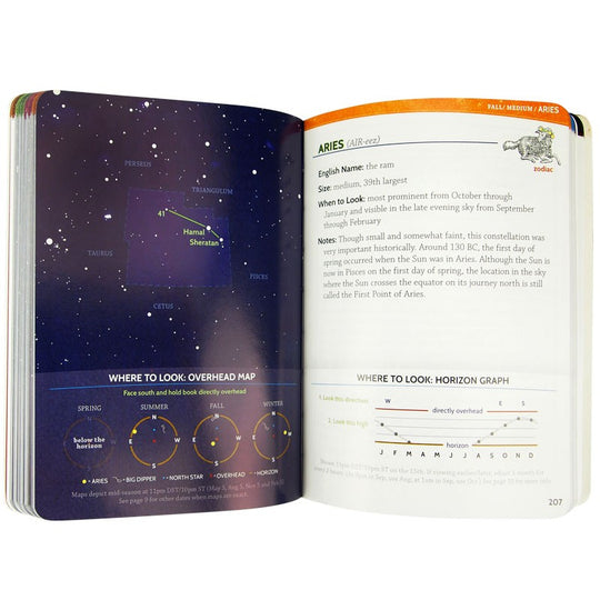 Night Sky: A Field Guide to the Constellations