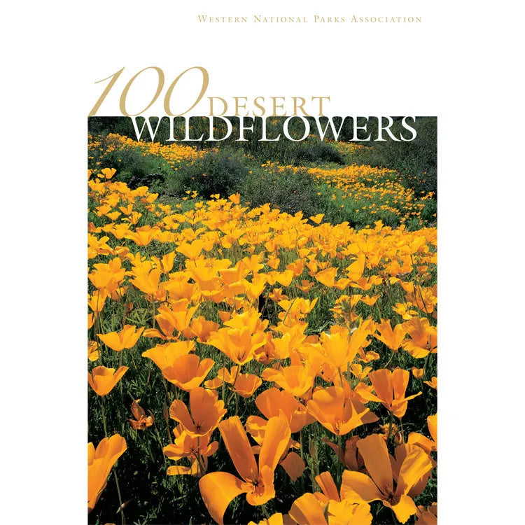 100 Desert Wildflowers Front Cover