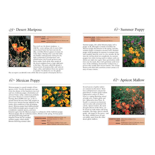 100 Desert Wildflowers Interior