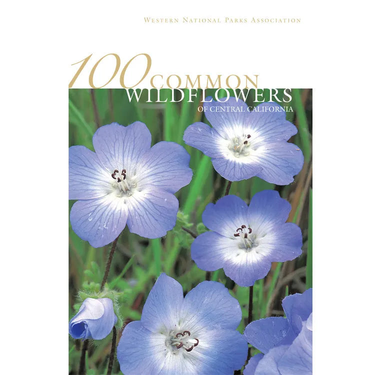 100 Common Wildflowers of Central California Front Cover