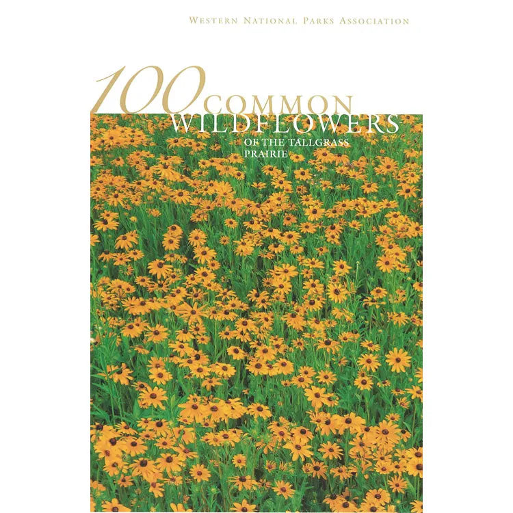 100 Common Wildflowers of the Tallgrass Prairie Front Cover