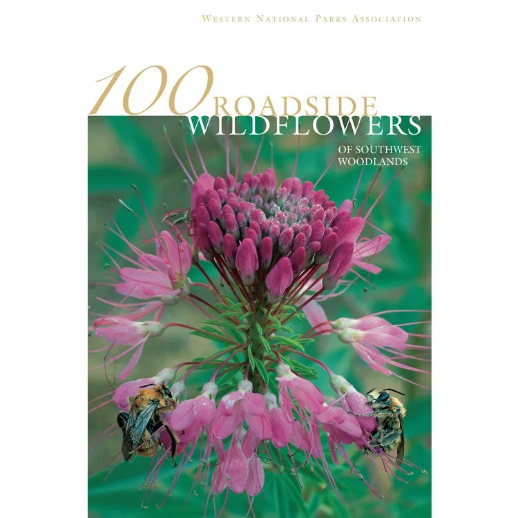 100 Roadside Wildflowers of the Southwest Woodlands Front Cover