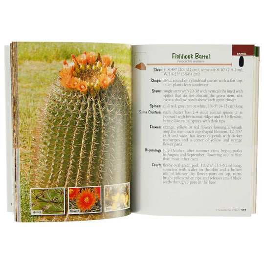 Cactus of Arizona Field Guide