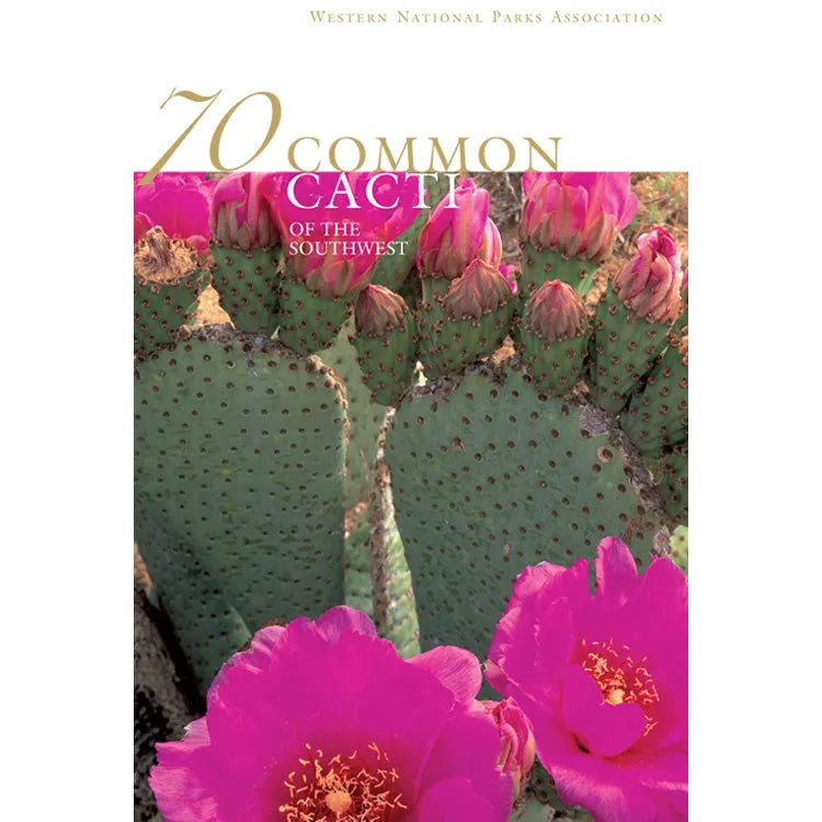 70 Common Cacti of the Southwest Front Cover