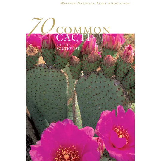 70 Common Cacti of the Southwest Front Cover