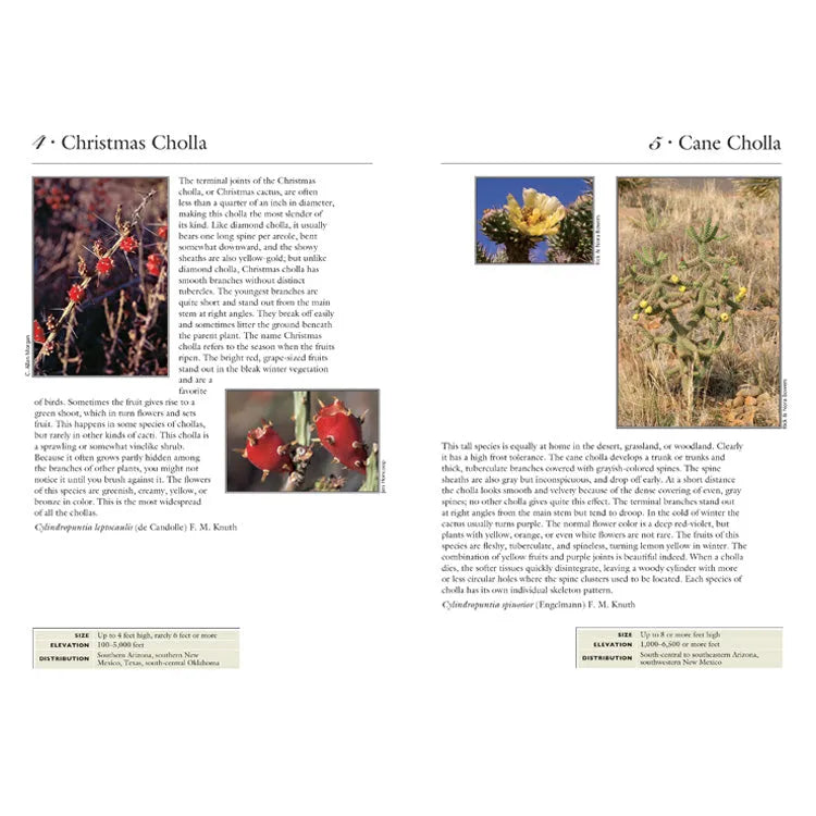 70 Common Cacti of the Southwest Interior Pages