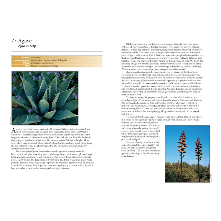 50 Common Edible & Useful Plants of the Southwest Interior Pages