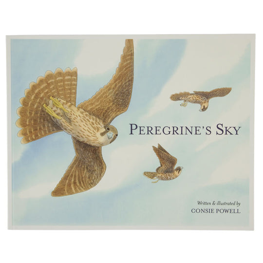 Peregrine's Sky