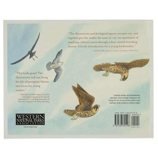 Peregrine's Sky Back Cover