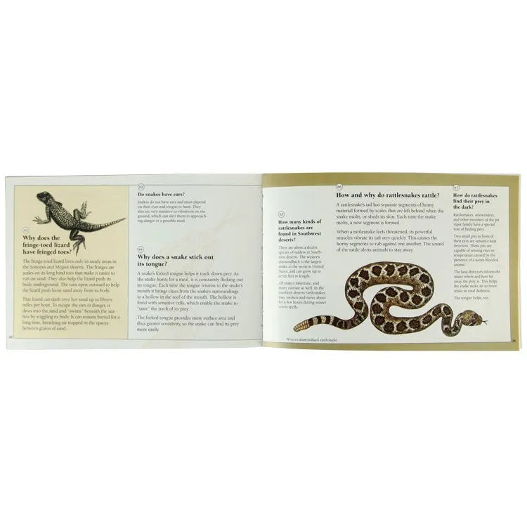 101 Questions About Desert Life Interior Pages