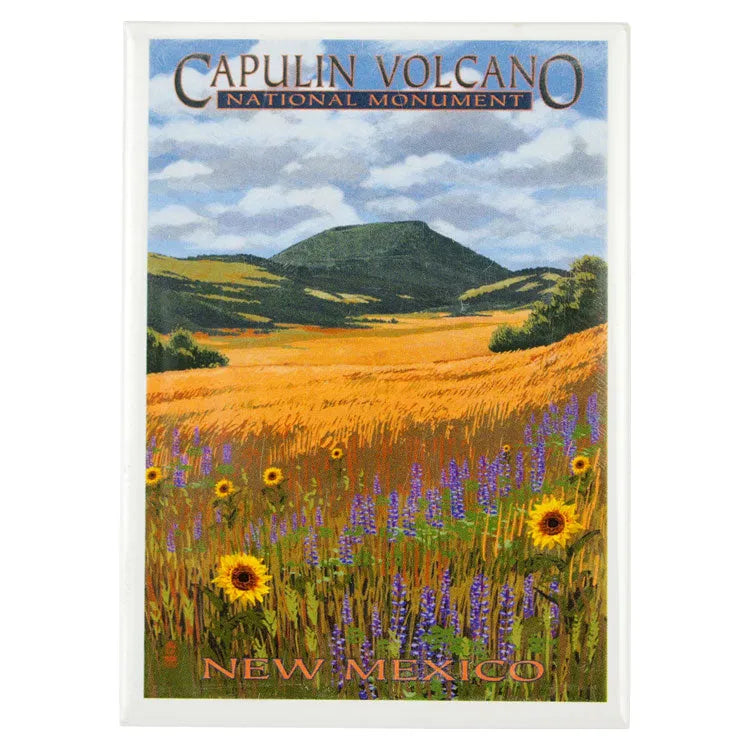 Capulin Volcano National Monument Magnet - Wildflower