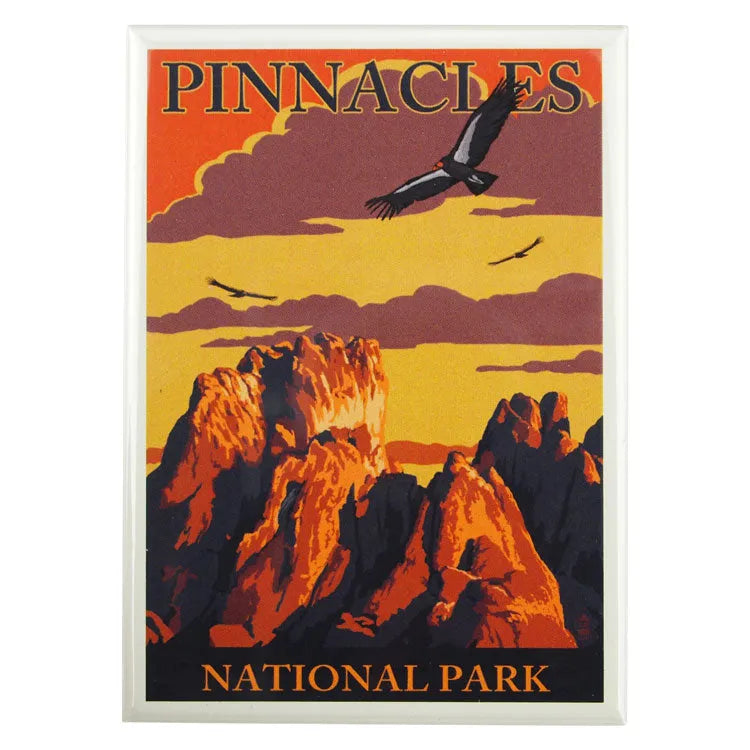 Pinnacles National Park Magnet - Condor