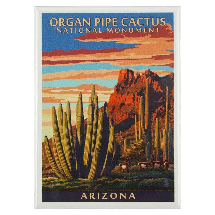Organ Pipe Cactus NM Sunset Magnet | WNP - Shop Our Parks!