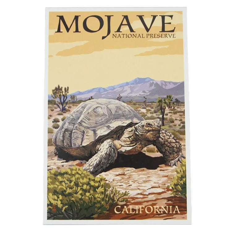 Mojave National Preserve Postcard - Desert Tortoise