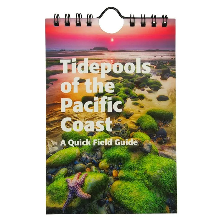 Tidepools of the Pacific Coast: A Quick Field Guide Front Cover