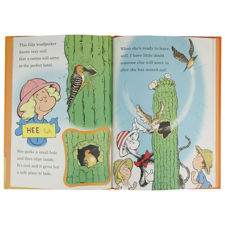 Why Oh Why Are Deserts So Dry? interior pages