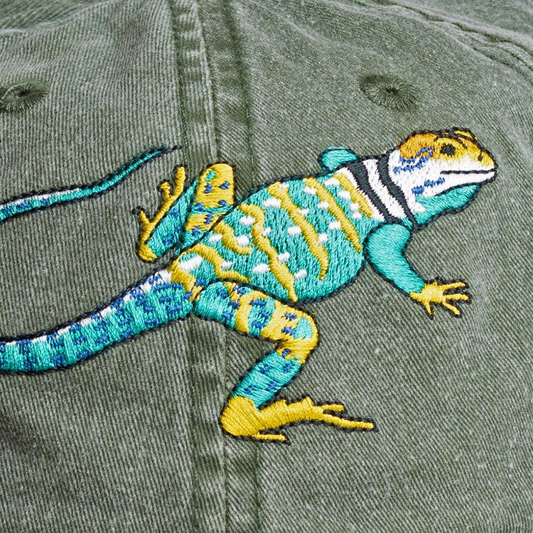 Collared Lizard Ball Cap